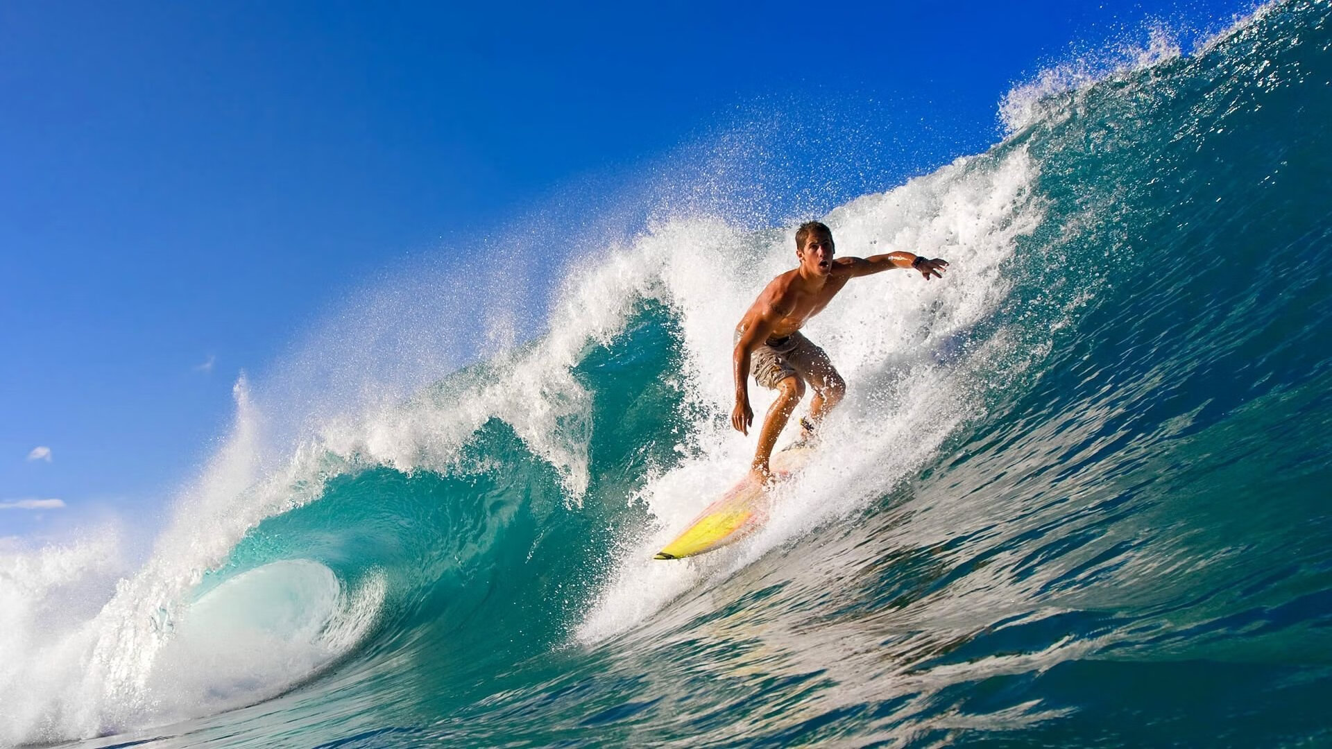 强势开局！樊振东率萨尔布吕肯完胜对手闯入德杯八强，樊振东巴萨球迷